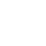 historiadors_negat